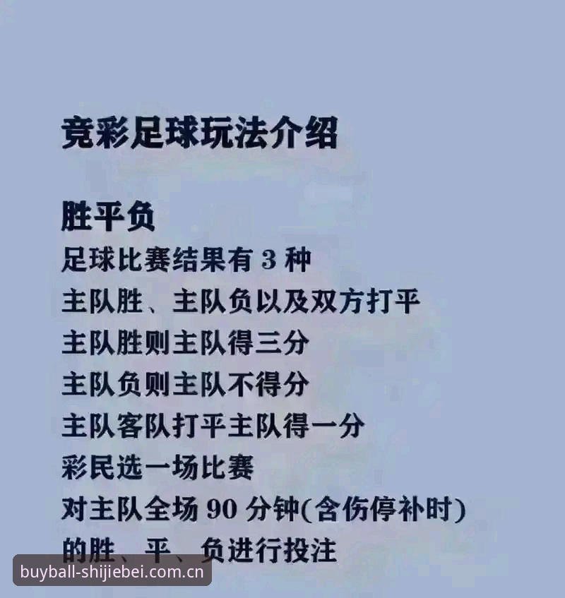 世界杯买球APP深度评测：2025全新入口的真实体验与使用心得